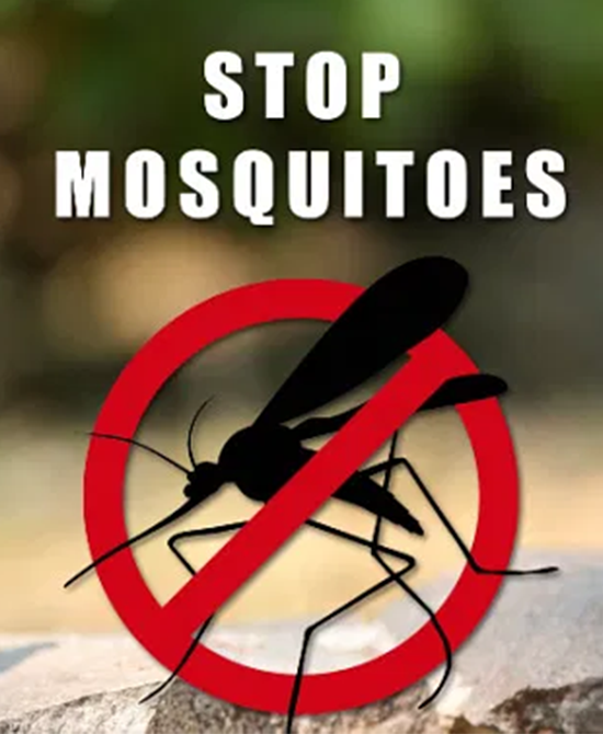 stop mosquitoes